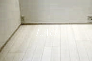 【居間・リビング】 | サザンゲート蒲田 | 洋室のお部屋です。
