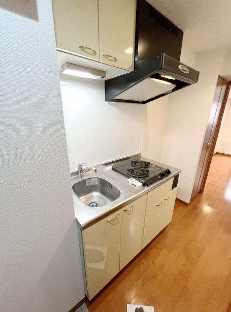ルーブル武蔵小山弐番館のキッチン