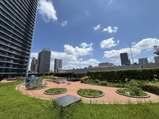 屋上。家庭菜園やバーベキューも出来ます。