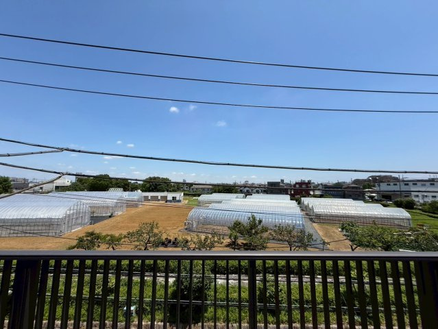 江戸川区鹿骨1丁目売戸建の展望|遠くまで見渡せる開放感。四季の移ろいを身近に感じられる眺望が魅力です。