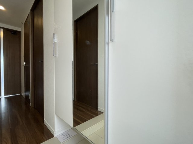 アルファステイツ鴨池の収納|シューズクローゼットの様子です