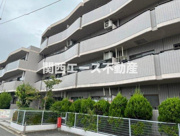 シロハイヌ小阪の画像