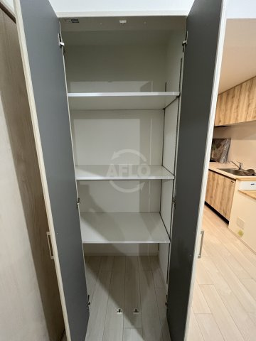 スプランディッド難波WESTⅡ　栄小学校区の収納|スプランディッド難波WESTII　姿鏡