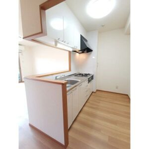 レージュ桔梗平のキッチン