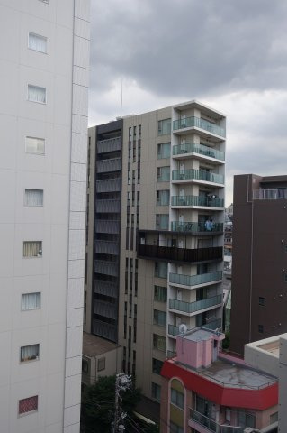 ザ・パークハビオ文京江戸川橋の展望