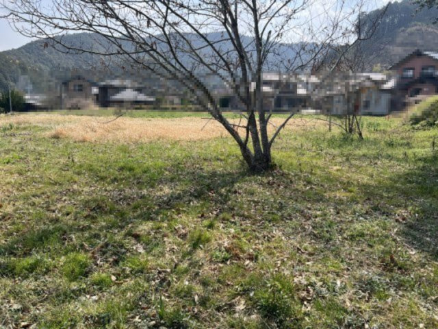岩崎売土地_2