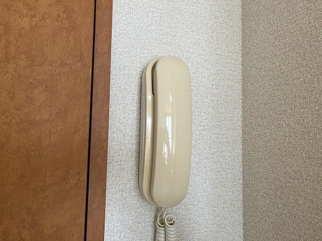 レオパレスパルフェのその他