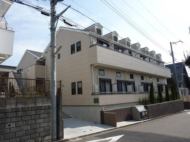 ラズベリーリーフの外観