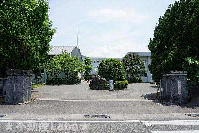 フォー　シュラインＡのその他