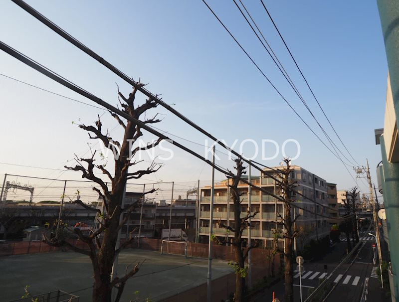 世田谷区砧４丁目の賃貸マンションの展望