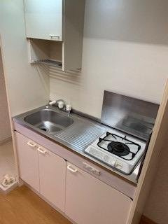 熊本市東区西原１丁目の賃貸マンションのキッチン|使いやすいキッチンです