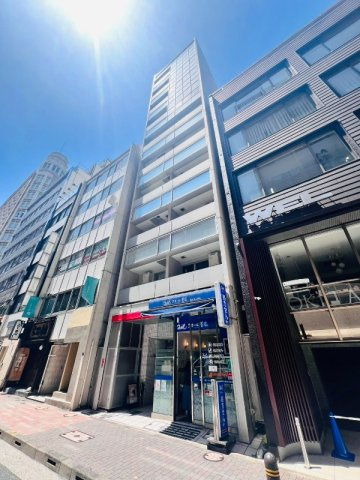 テラス銀座の外観|外観もきれいです
