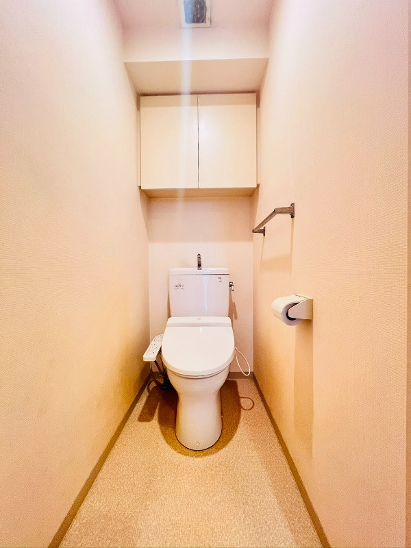 テラス銀座のトイレ|落ち着いた色調のトイレです