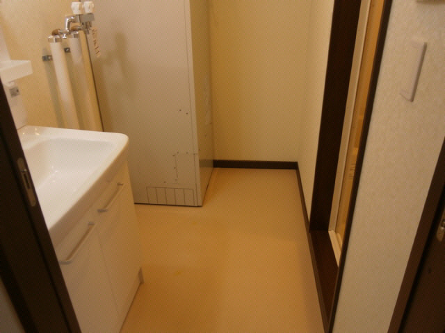 ラパーチェ東の洗面所