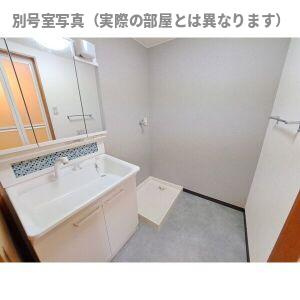 グレース高比良 S棟の洗面所