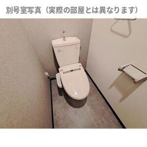グレース高比良 S棟のトイレ
