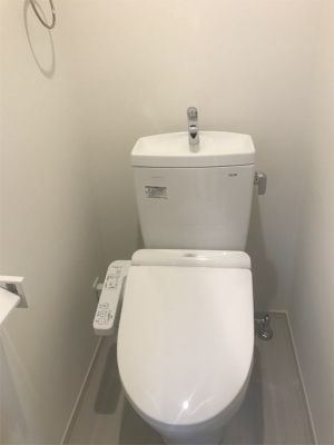 グレイス桶川のトイレ