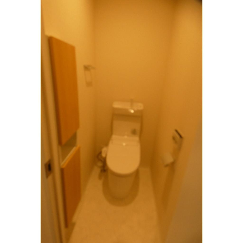 Ｐｏｒｔｏｆｉｎｏ本郷のトイレ|トイレです