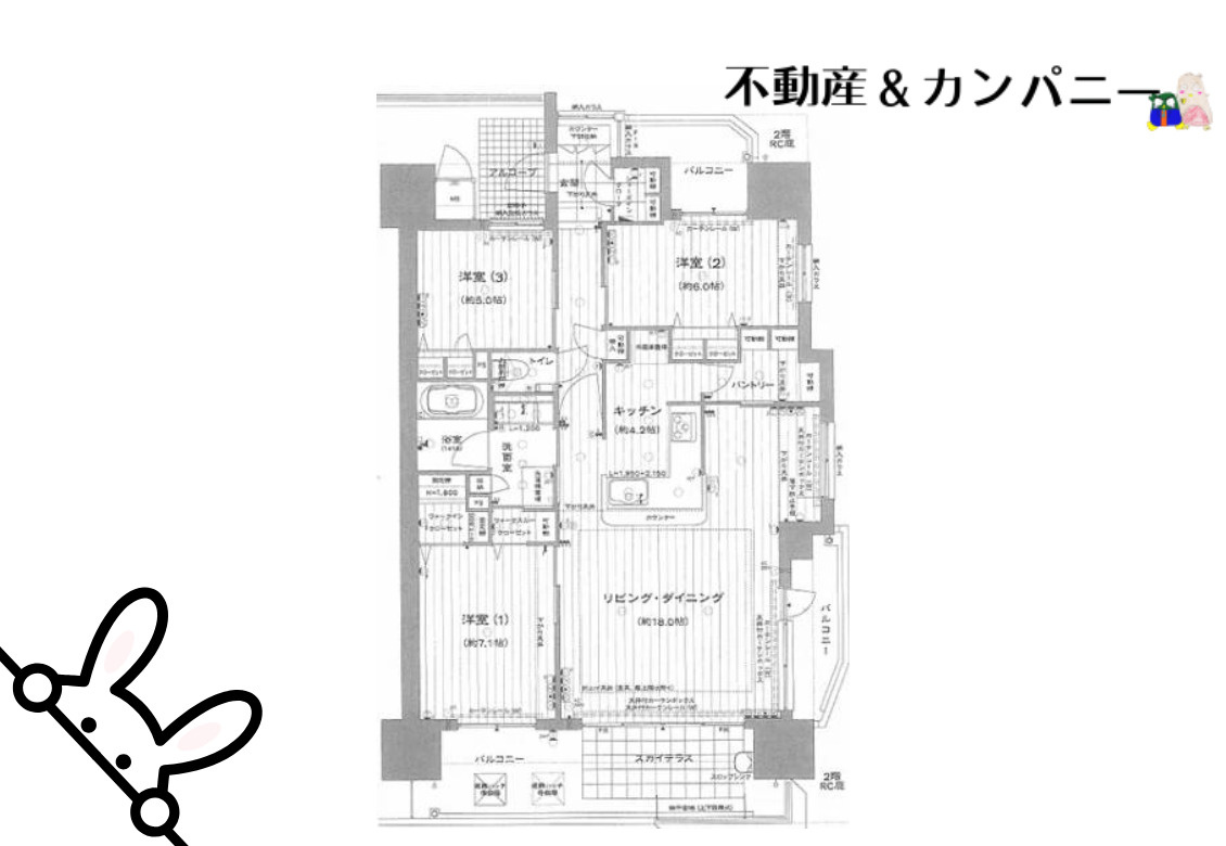 ロイヤルガーデン道後樋又の間取り