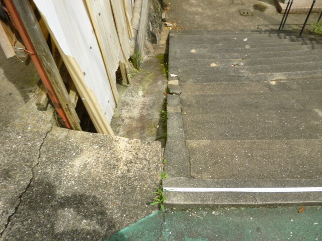 長与町丸田郷売地