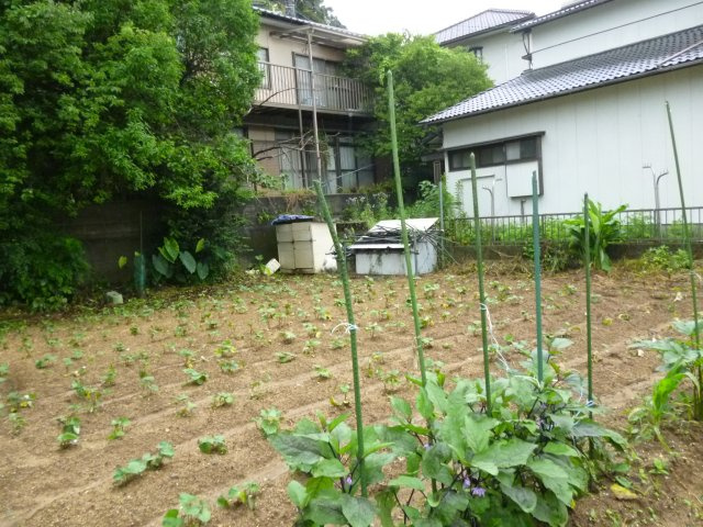 長与町丸田郷売地