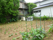 長与町丸田郷売地の画像