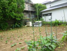長与町丸田郷売地の画像
