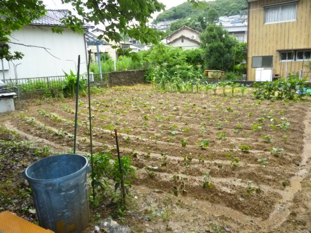 長与町丸田郷売地