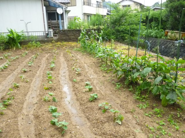 長与町丸田郷売地