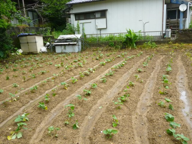 長与町丸田郷売地