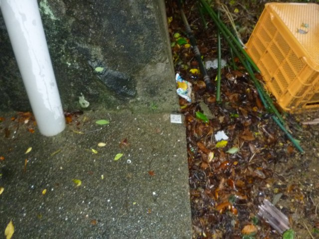 長与町丸田郷売地