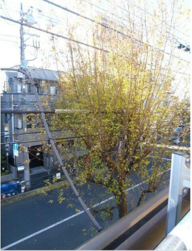 サンフラワー大和町の展望