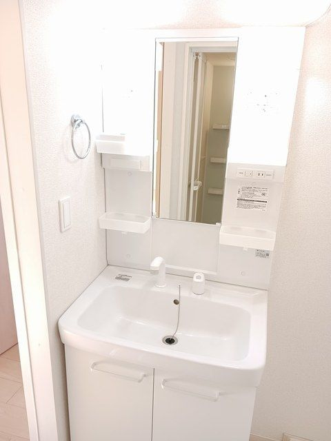 フランⅡの洗面所