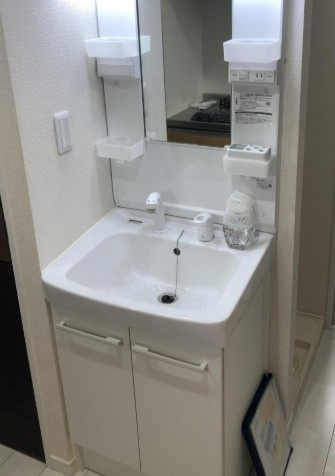 セレンディピティ田端の洗面所