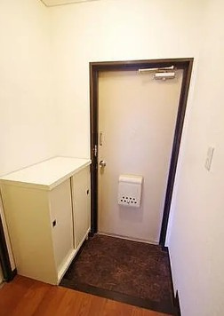 座間市緑ケ丘４丁目の賃貸マンションの玄関
