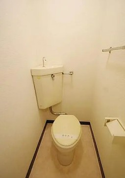 座間市緑ケ丘４丁目の賃貸マンションのトイレ