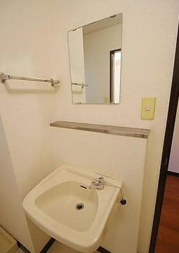座間市緑ケ丘４丁目の賃貸マンションの洗面所