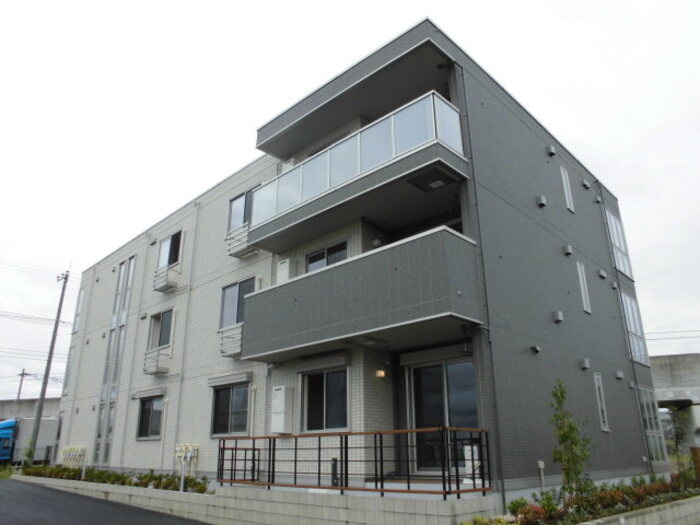 アンプルールの外観