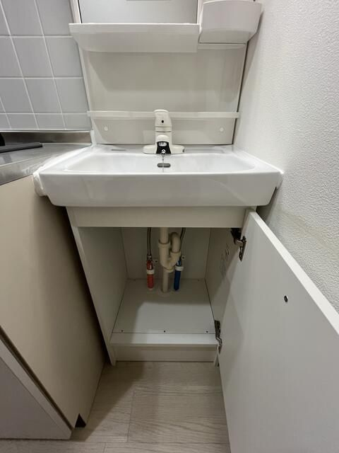コリーヌ恵比寿の洗面所