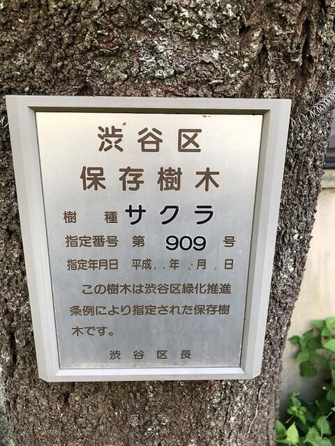 コリーヌ恵比寿のその他