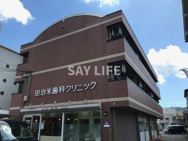 ティグリス枝川