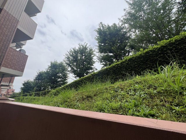 ららぽーと横浜が徒歩圏内♪リノベーションされてデザイン性のあるお部屋に生まれ変わってあら素敵！最近のゴンチャはちょっとポテンシャル上がっている模様（ららぽーとにアリ）な、【ダイアパレスつづきの丘】の展望