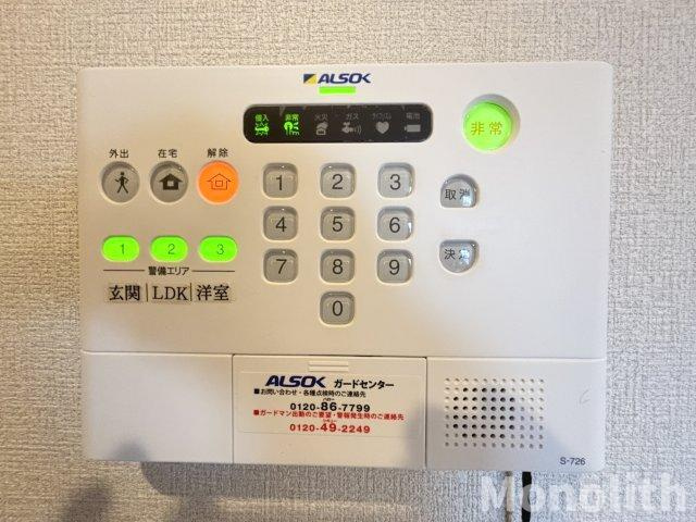 カーサワイオリのセキュリティ