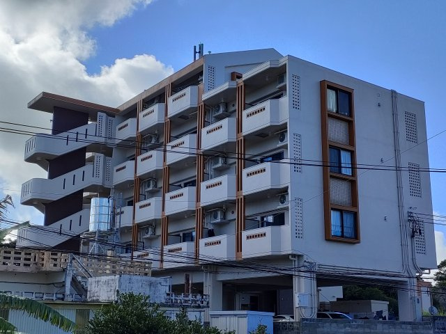 パラシオン　MINE