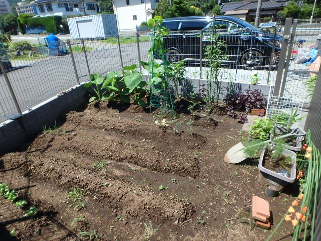 H0257H　片瀬白田築浅住宅の庭