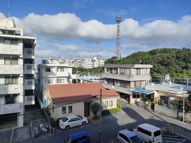 グリーンマンションⅠの展望