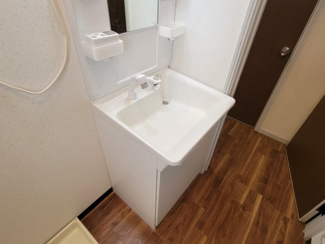 グレイス竹内Ⅱの洗面所