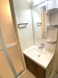 葛飾区高砂６丁目の賃貸マンションの独立洗面台