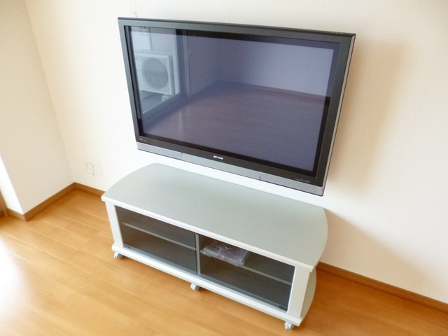 ロイヤルパークス新田の内装|４２インチのプラズマテレビが付いています！