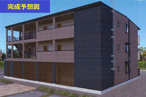 Banksiaの画像